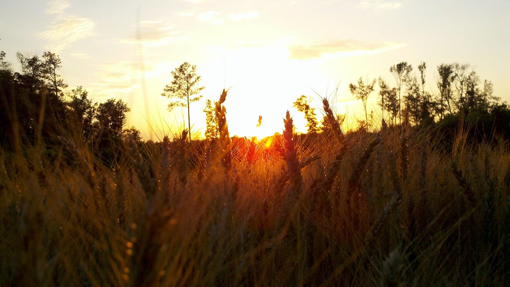 Elevation of Powellton, VA, USA Topographic Map Altitude Map