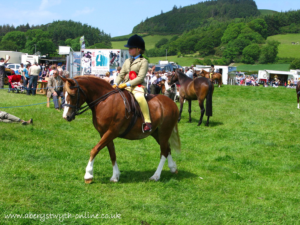 Aberystwyth Equine Show IMG_4527 Produced by Aberystwyth … Flickr