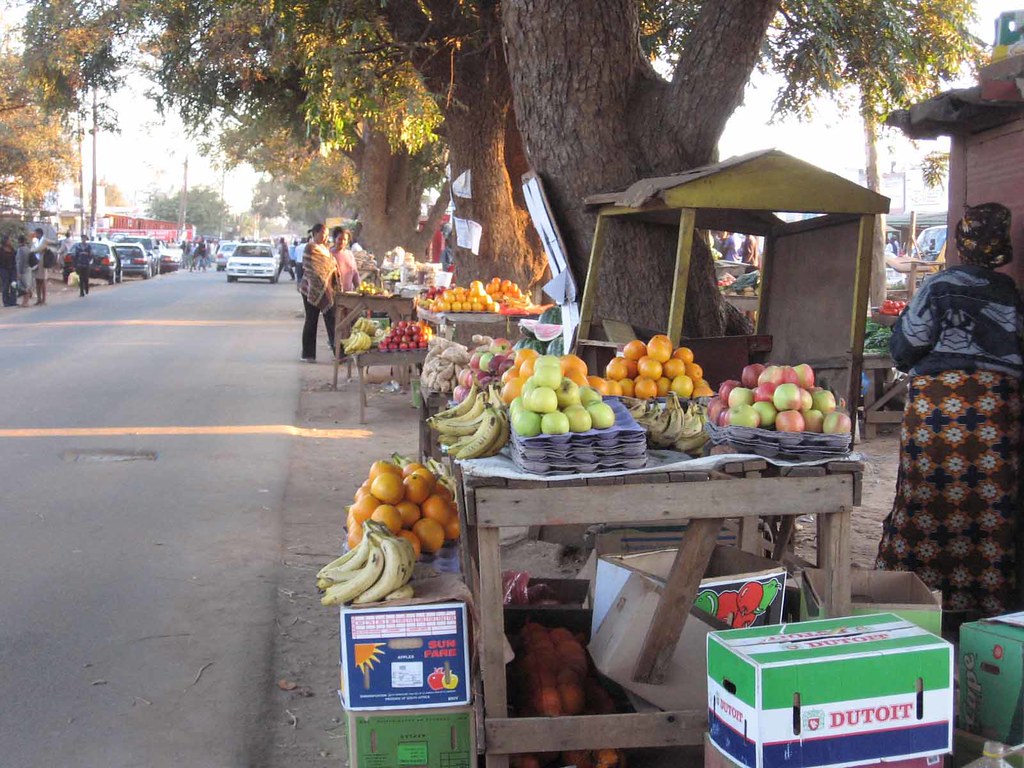 Volunteer Abroad Zambia Africa Medical Nurse Nursing EMT M… Flickr