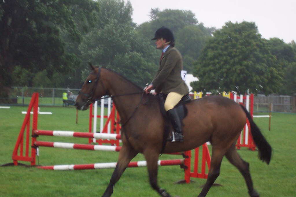 Equestrian at the Border Union Show Kelso, Scotland Chris Schaefer