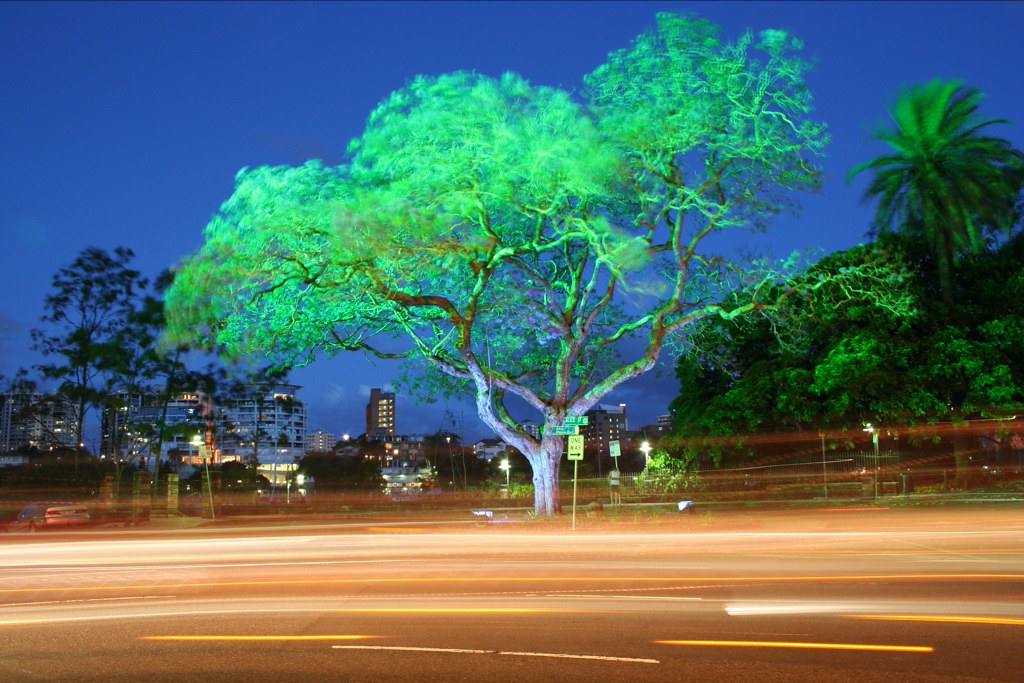 Botanic Gardens at night Taken as the cars rush by to go h… Flickr