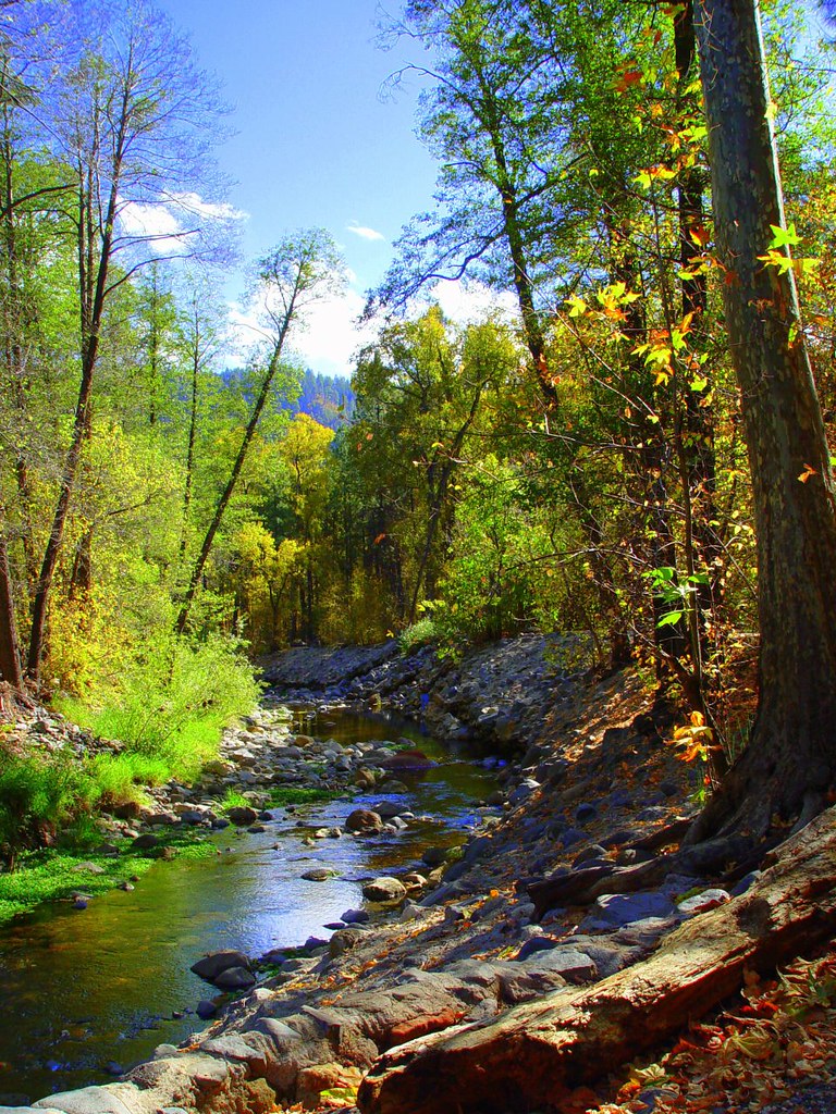 Oak Creek Oak Creek in Sedona, Arizona in the Fall midiman Flickr