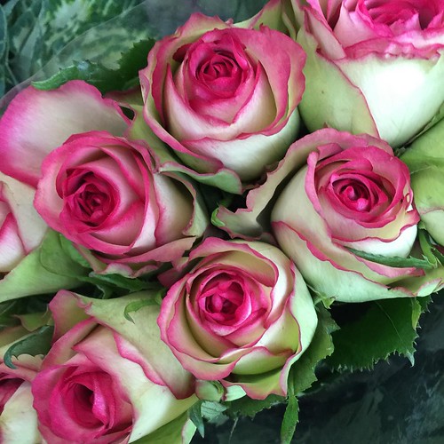 ⬅️order now Share,Like or Com… Flickr