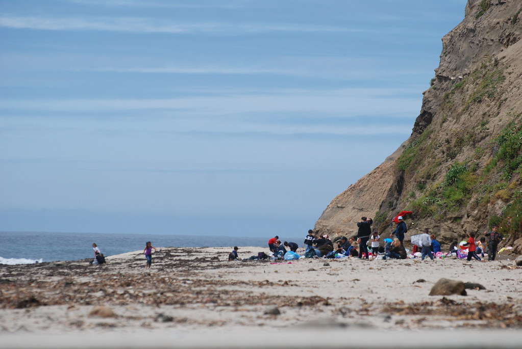 Pillar Point Harbor District Habitat PPHD Avis Boutell Flickr