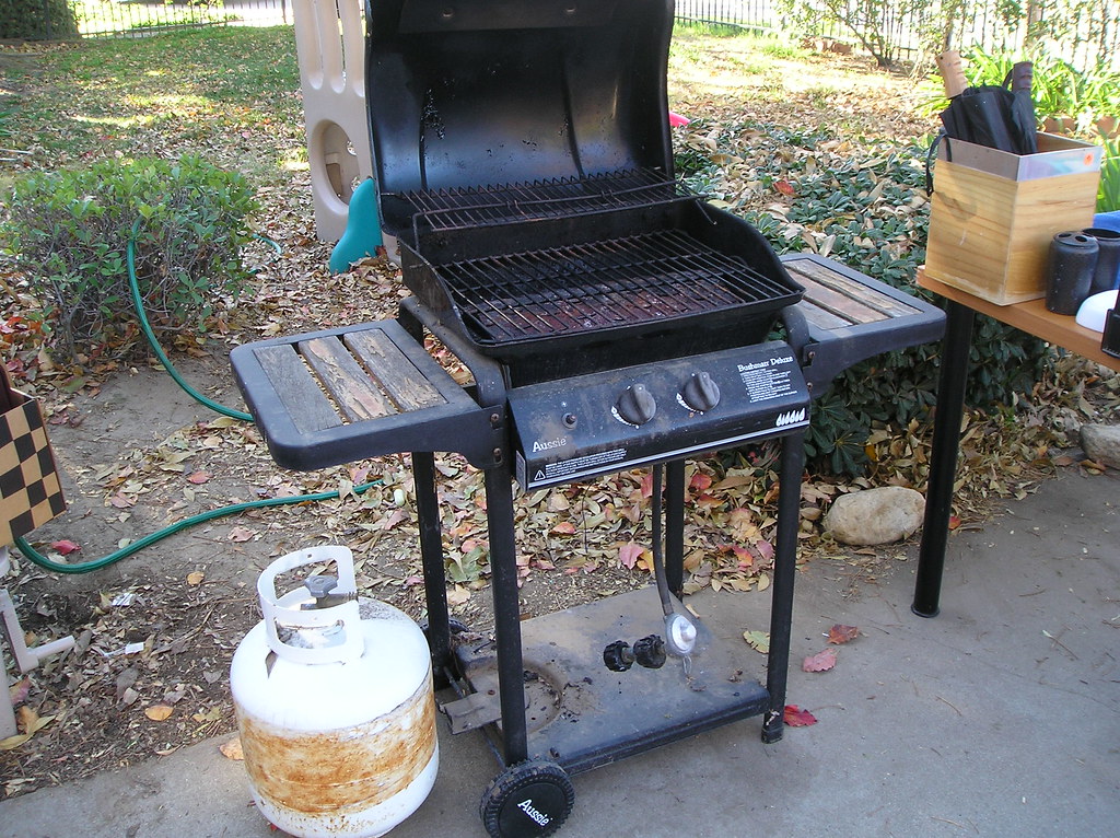 Gas Grill 2 GAS GRILL Aussie Bushman Deluxe twoburner g… Flickr