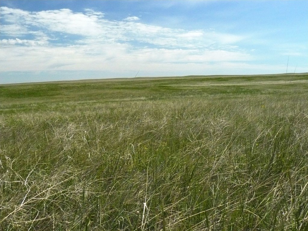 Endless Prairie This is what the midwest once looked like.… Flickr