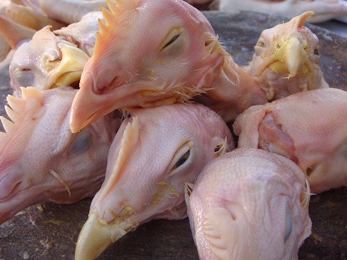 Cabezas de pollo Cabezas de pollo muy sabrosas ya cocidas.… Flickr