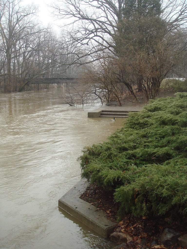 the platform red cedar river Matthew Boyer Flickr