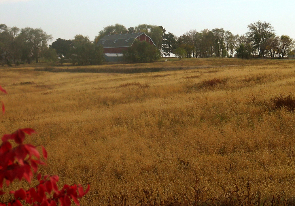 Farm Melissa Miller Flickr