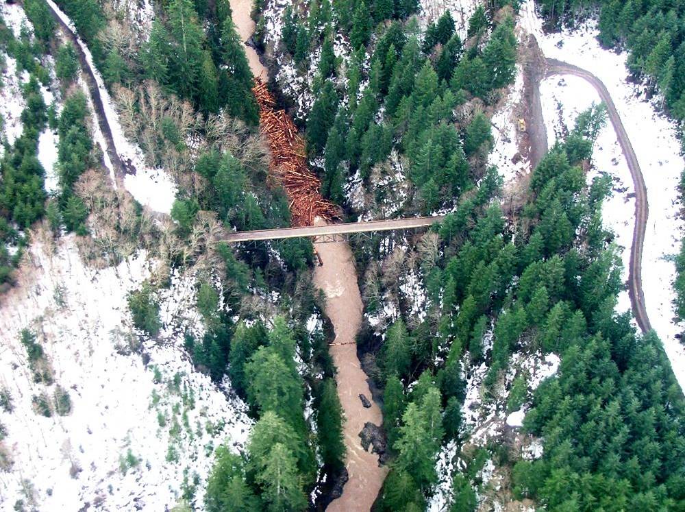Log Jam on Canyon Creek Canyon Creek near Amboy in Clark C… Flickr