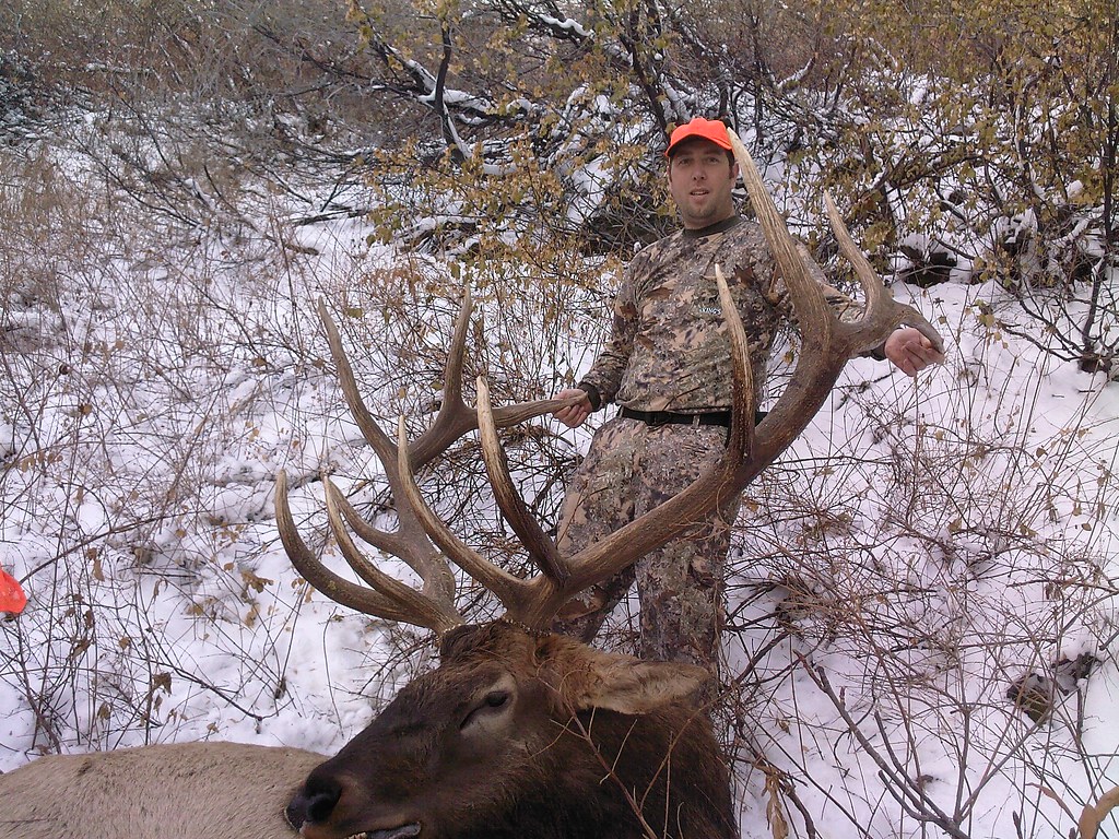 My 2008 Utah bull elk I harvested this bull elk in Norther… Flickr