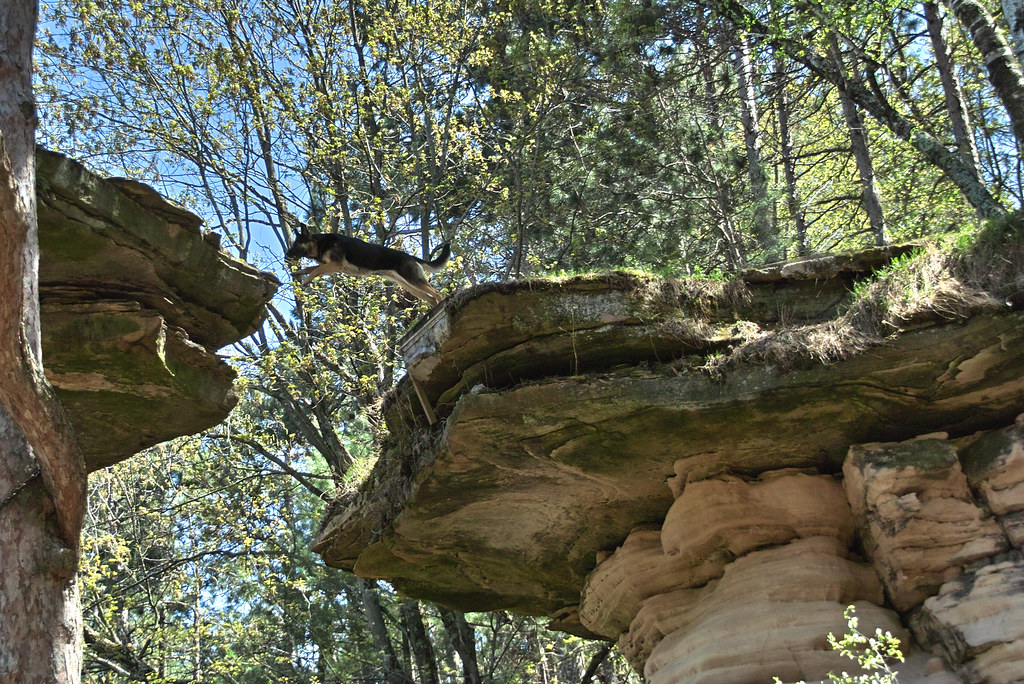 Dog jump Dog jumping between two rock formations at the Wi… Flickr