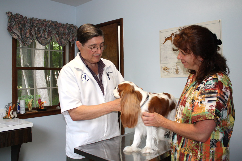 Elvis Goes To The Vet Elvis saw Dr. McCord today for his r… Flickr