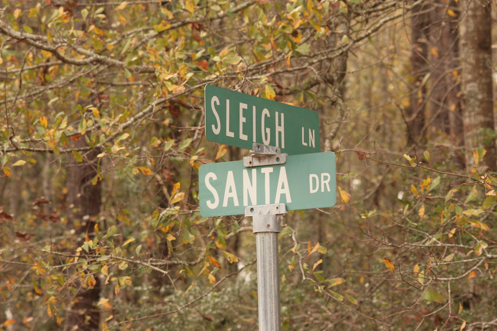 20081214_7185 Christmas Tree Farm in Magnolia Mississippi Ludie