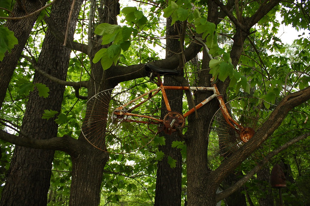 Elevation of Burgess Ln, Greenbrier, AR, USA Topographic Map