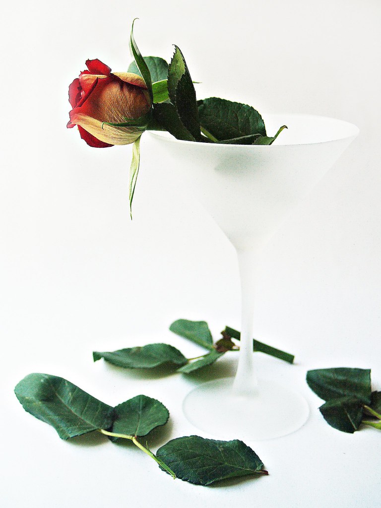 rose martini part 2 Katie Flickr