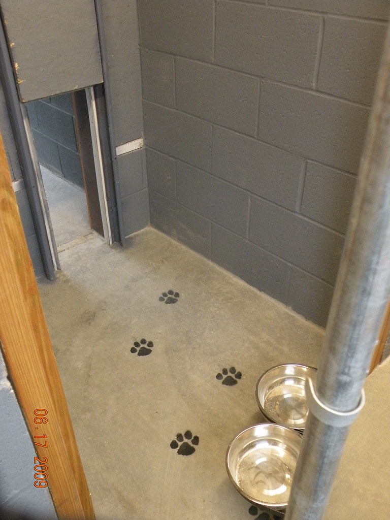 k&a kennels 006 Ashpet Flickr