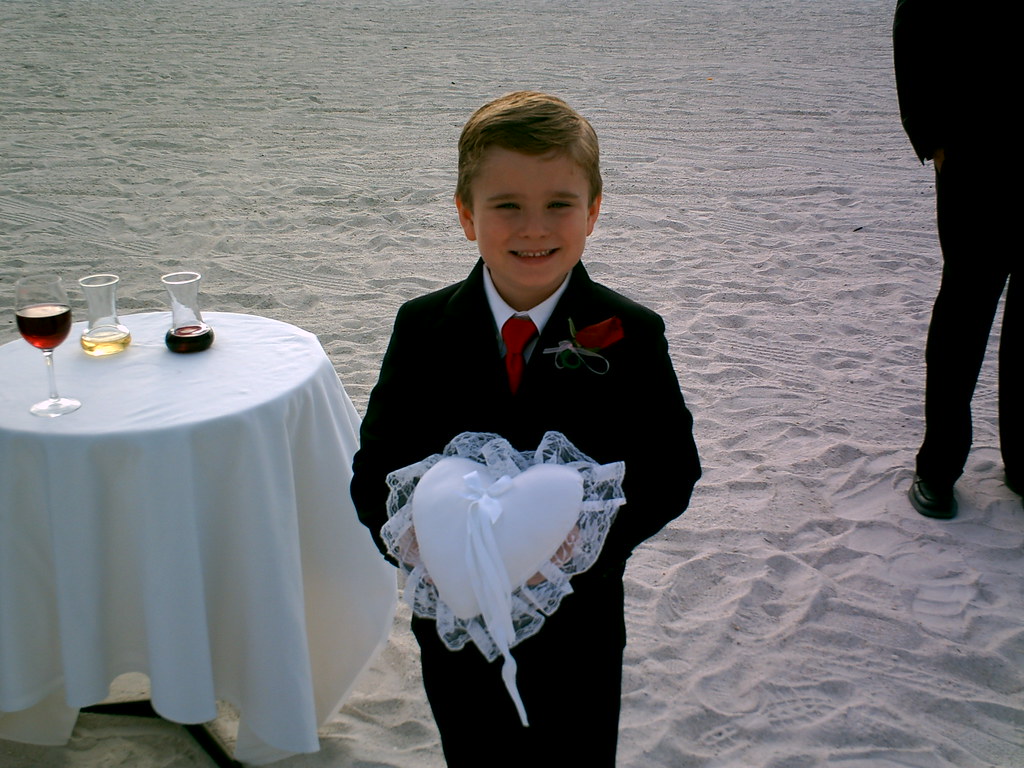 SHANE THE RING BEARER 21409 Aiptek ruthdoo Flickr