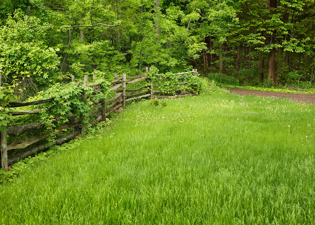 Elevation of Marion, NY, USA Topographic Map Altitude Map