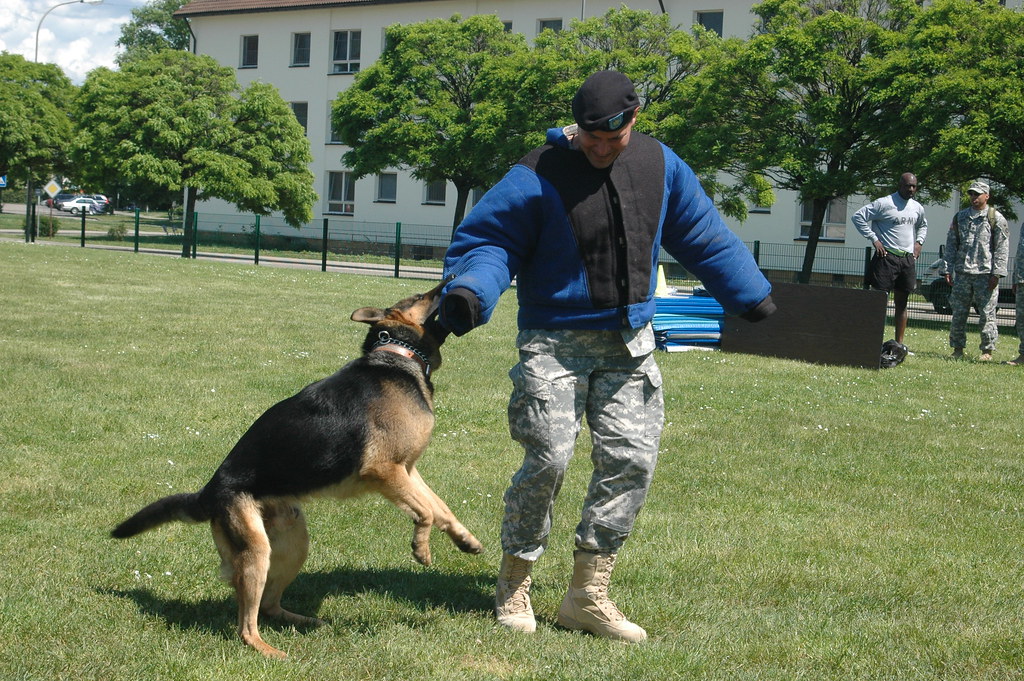 Heidelberg Middle School at Carole Toth blog