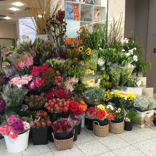 ⬅️order now Share,Like or Com… Flickr