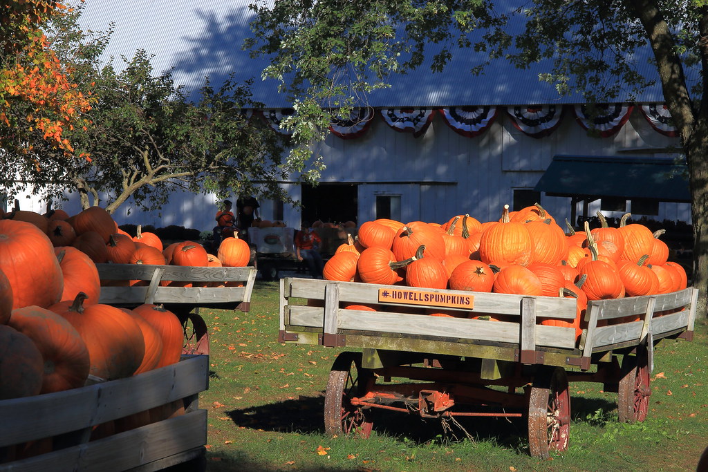 Howell´s Farm, Madison County, IA Howell´s Pumpkin Patch i… Flickr