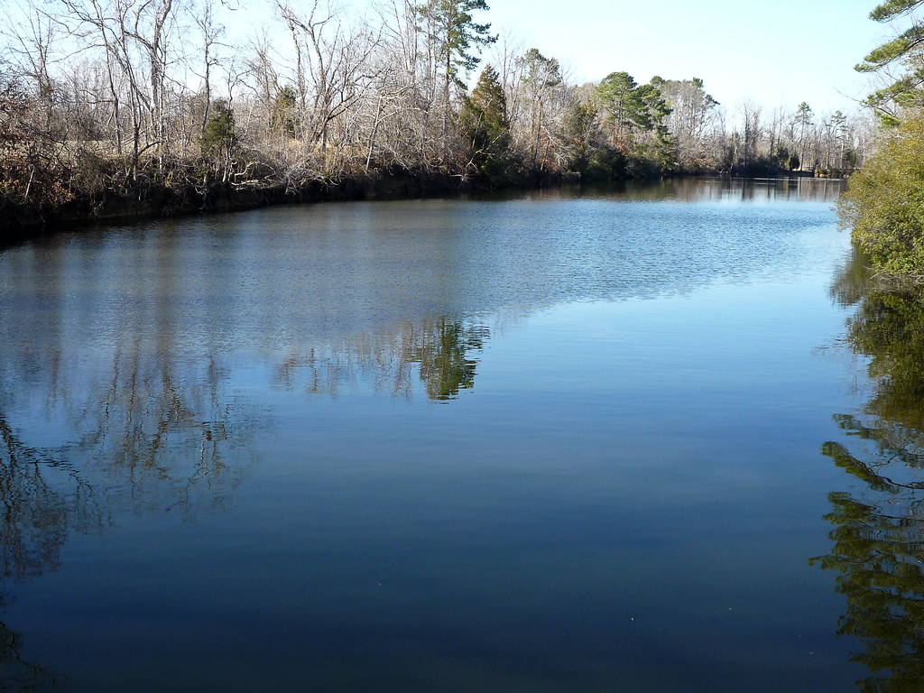 Homes For Sale On Lone Star Lake at Jennifer Sheldon blog
