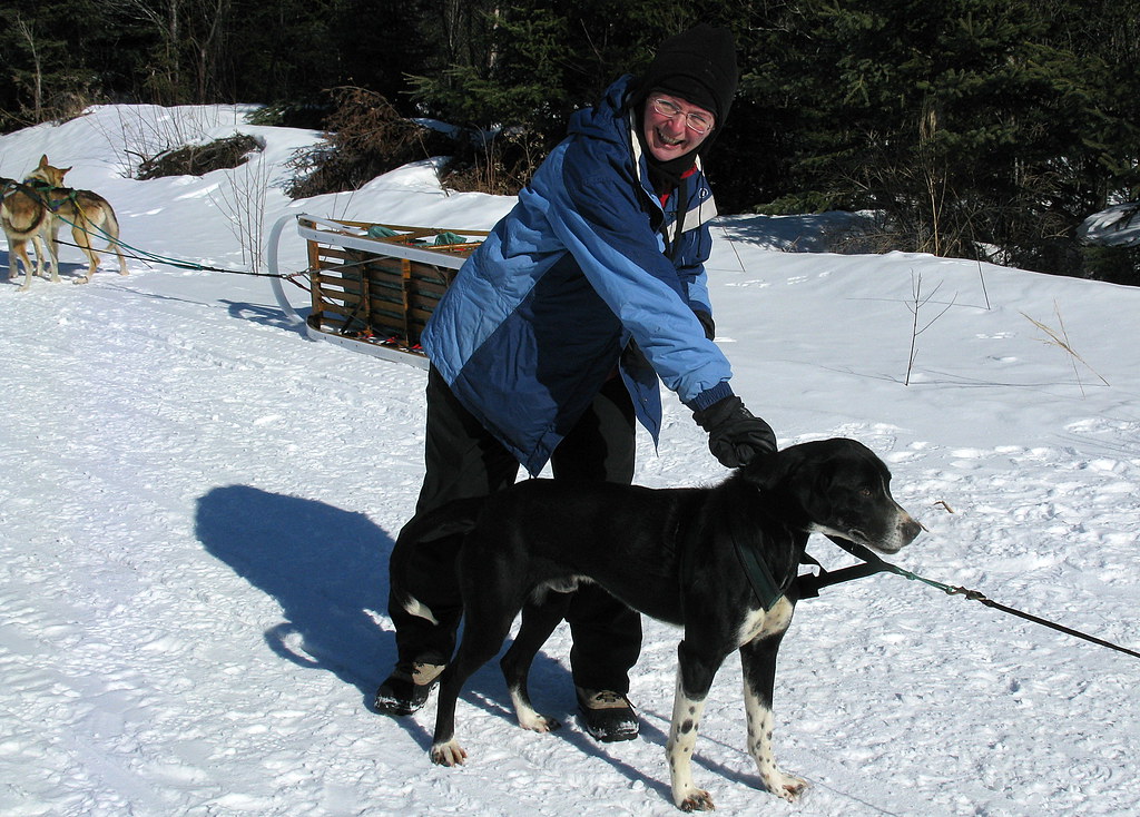 Can You Train A 3 Year Old Dog