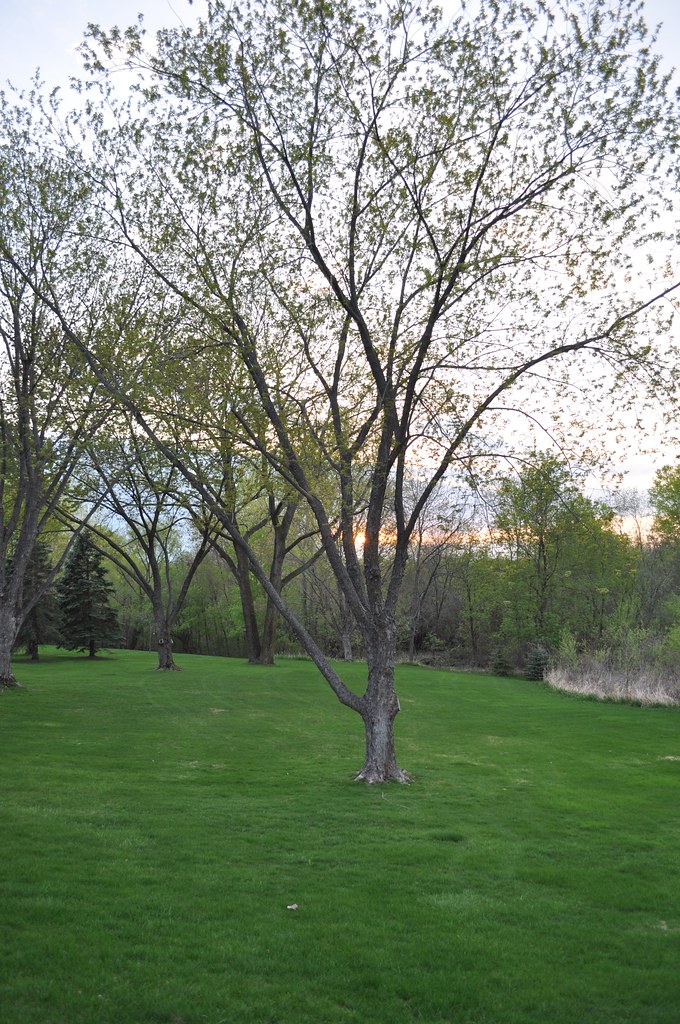 Green Pond Wentworth Park Tamara Flickr