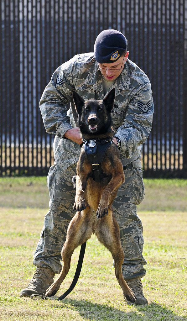 Air Force Dog handler Scott* Flickr