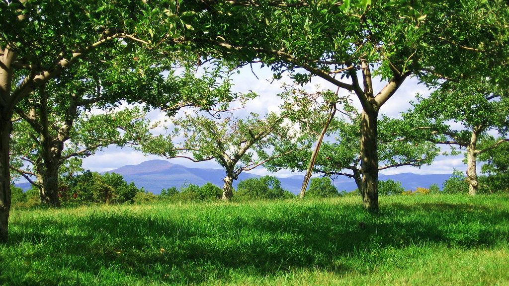 DutchessIMG_5494 Cedar Heights Orchard Rhinebeck, New York