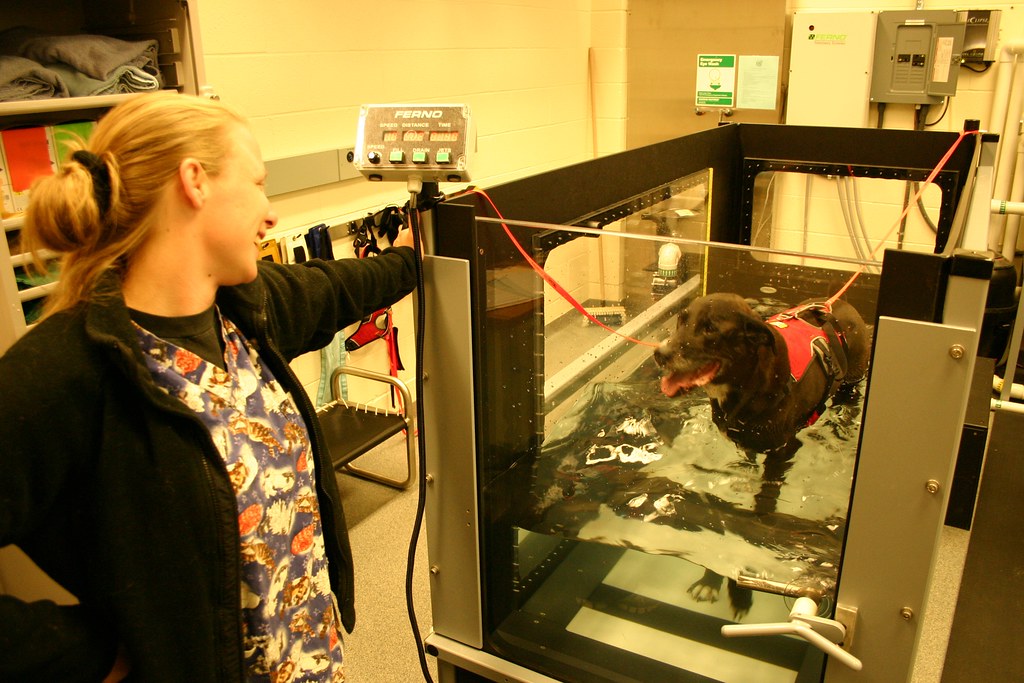 Small Animal Rehabilitation Center The Small Animal Rehabi… Flickr