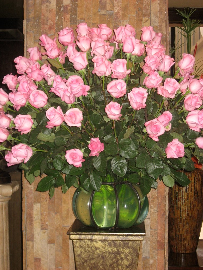 IMG_0287 Judy Lane Flickr