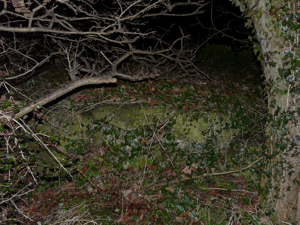 SHORTRIDGE HALL,WARKWORTH Side view nu242 079 stephen.lewins (1,000