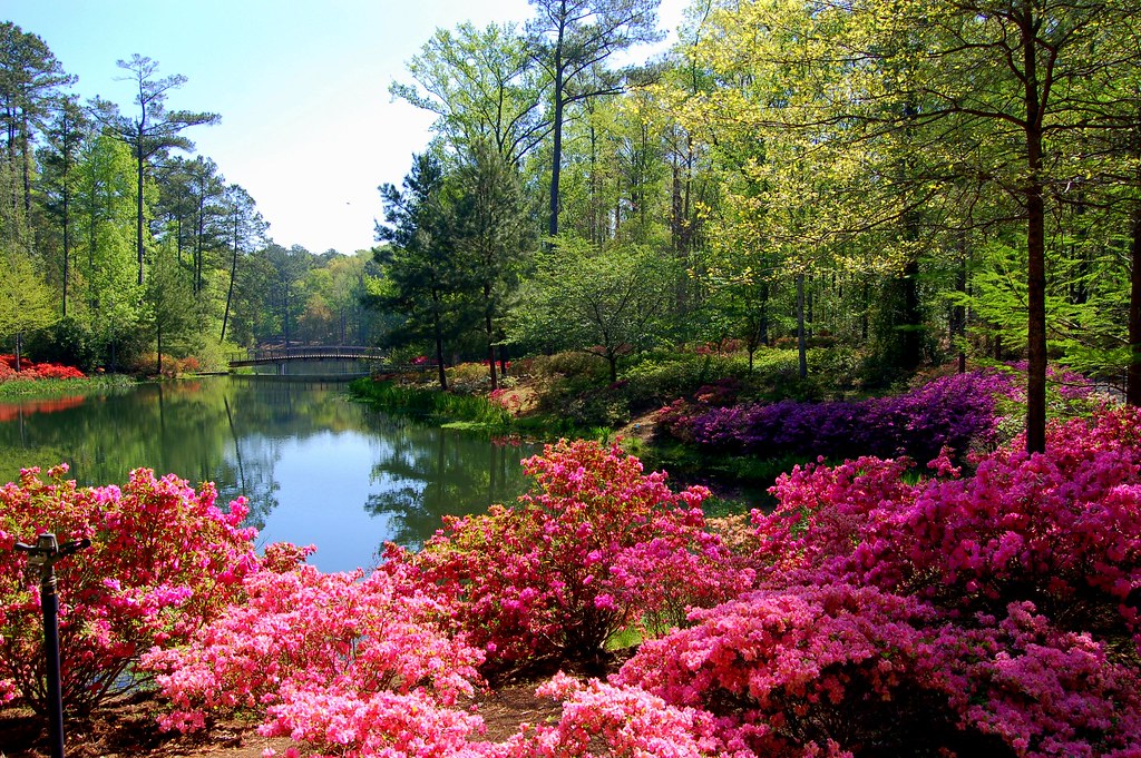 Callaway Gardens April 2008 Callaway Gardens® is a stunn… Flickr