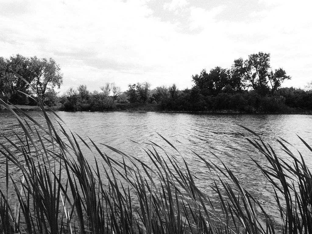 Elevation of Mapleton, ND, USA Topographic Map Altitude Map