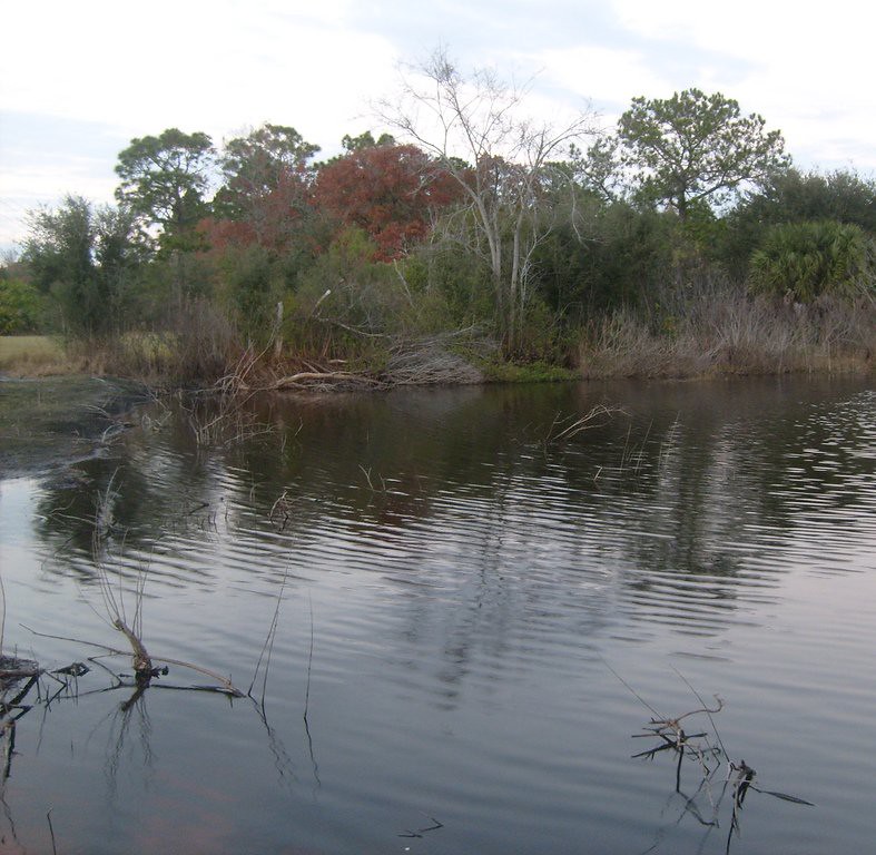 Elevation of White Deer Trail, Palatka, FL, USA Topographic Map