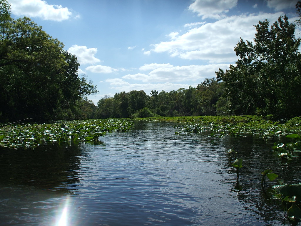Wekiva River 0h_hey Flickr