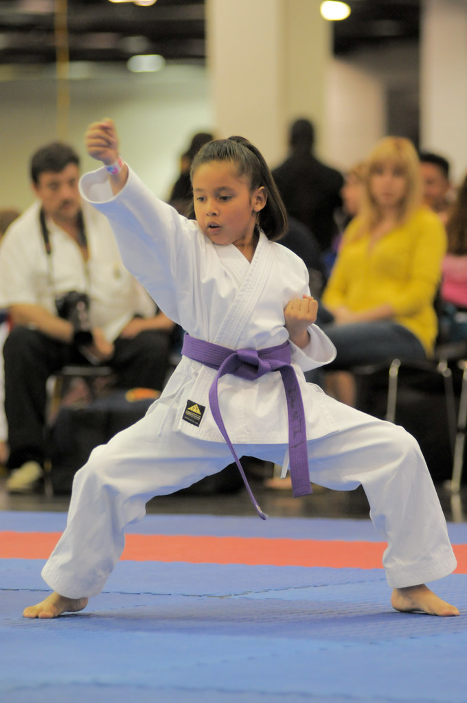 disneyland tournament ronsemailbox Flickr