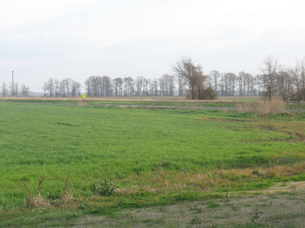 Jonestown, Mississippi 012 Elyse Bell Flickr