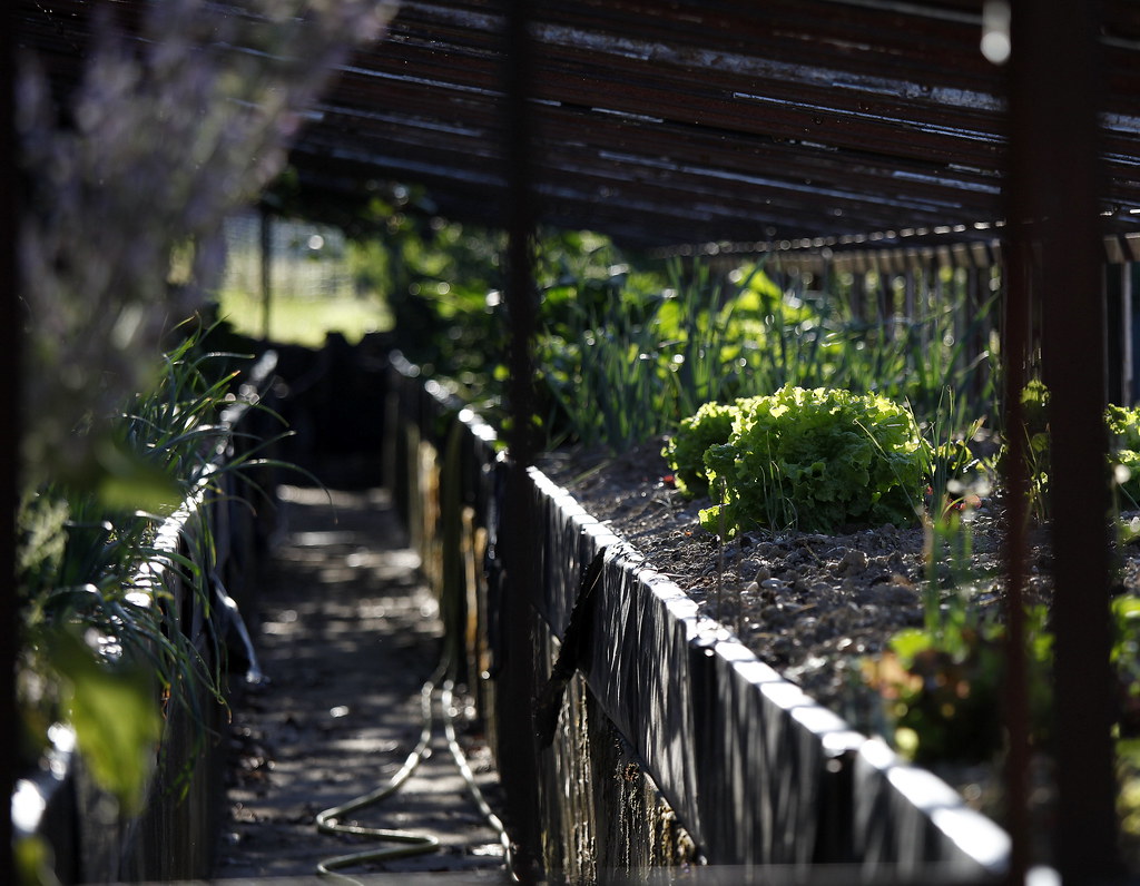 kitchen garden worth seeing on black jenny downing Flickr