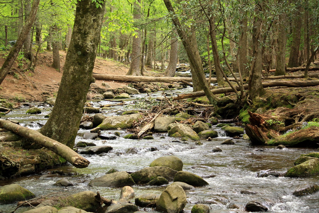 Cades Cove Picnic Area Stream This stream flows through th… Flickr