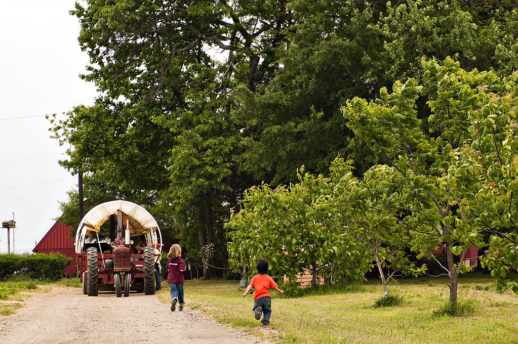 12 Strawberry Picking Farms in New Jersey New Jersey Digest