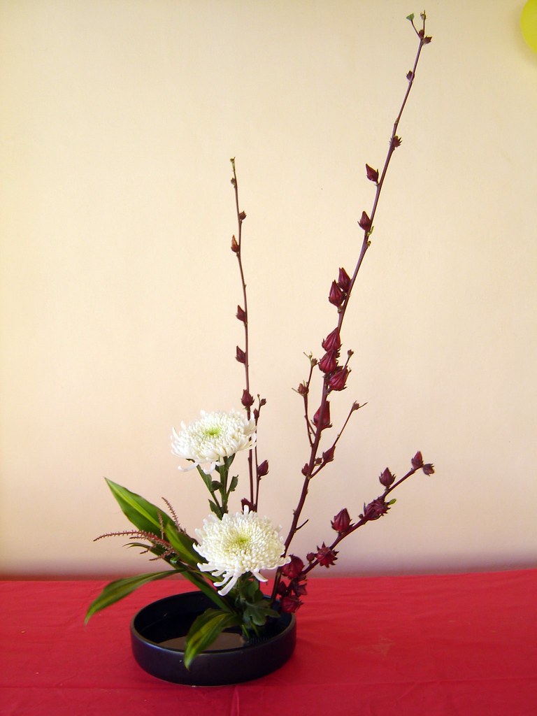 Moribana Rosella and Chrysanthemum Ikebana by Sergio ( I… Flickr