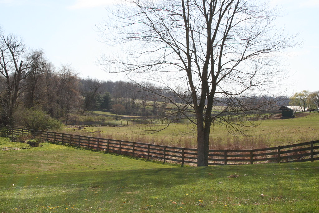 Derby Downs horse farm Down the road from where I live Flickr