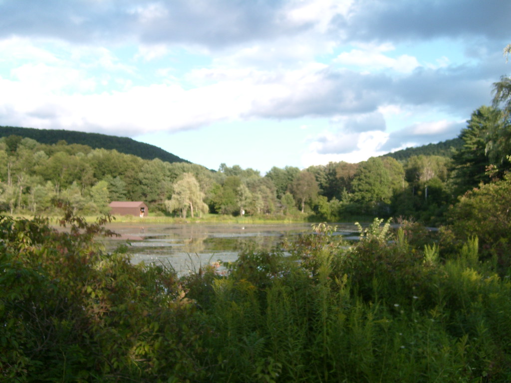 Beebe Pond, Canaan NY View of Beebe Pond in Canaan, NY in … Flickr