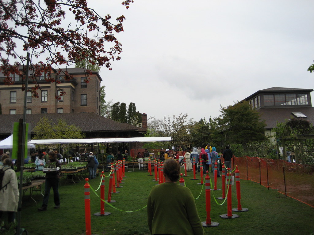 IMG_7201 Seattle Tilth Edible Plant Sale 4649 Sunnyside Av… Flickr