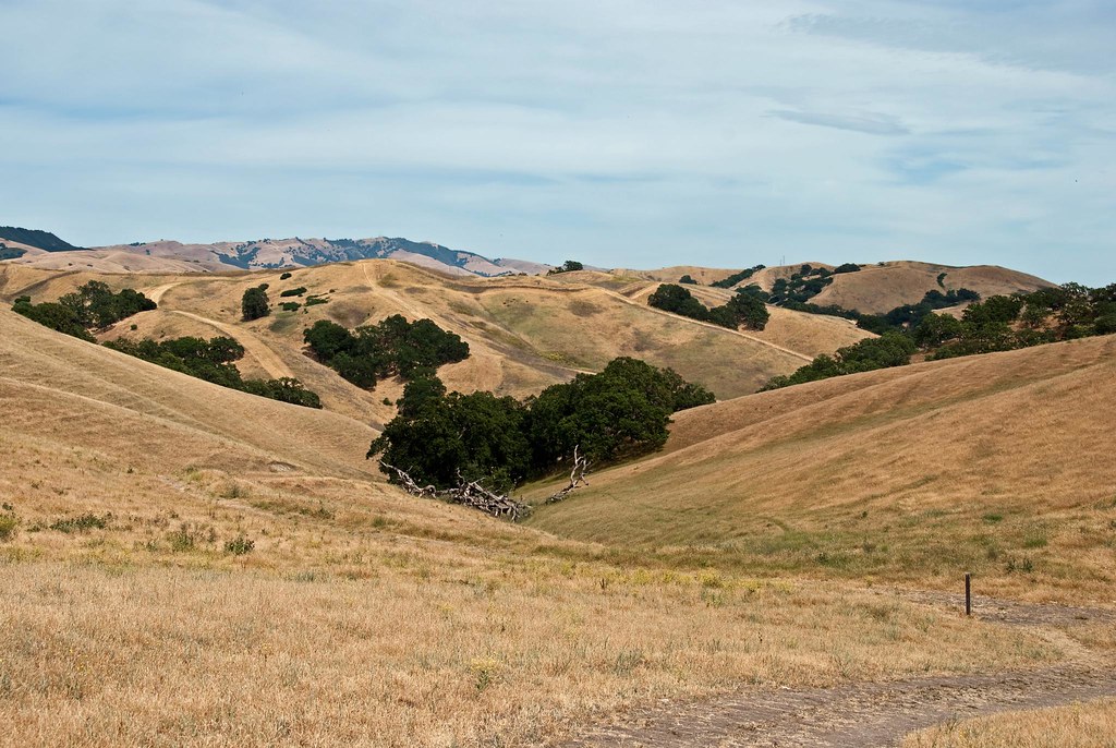 Sycamore Valley Trail and View I went for a little afterw… Flickr
