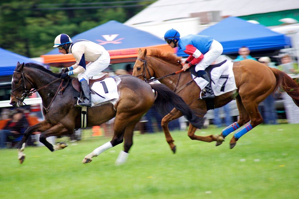 Seven Of Very The Best Horse Races To Bet On In 2021 GamingZion