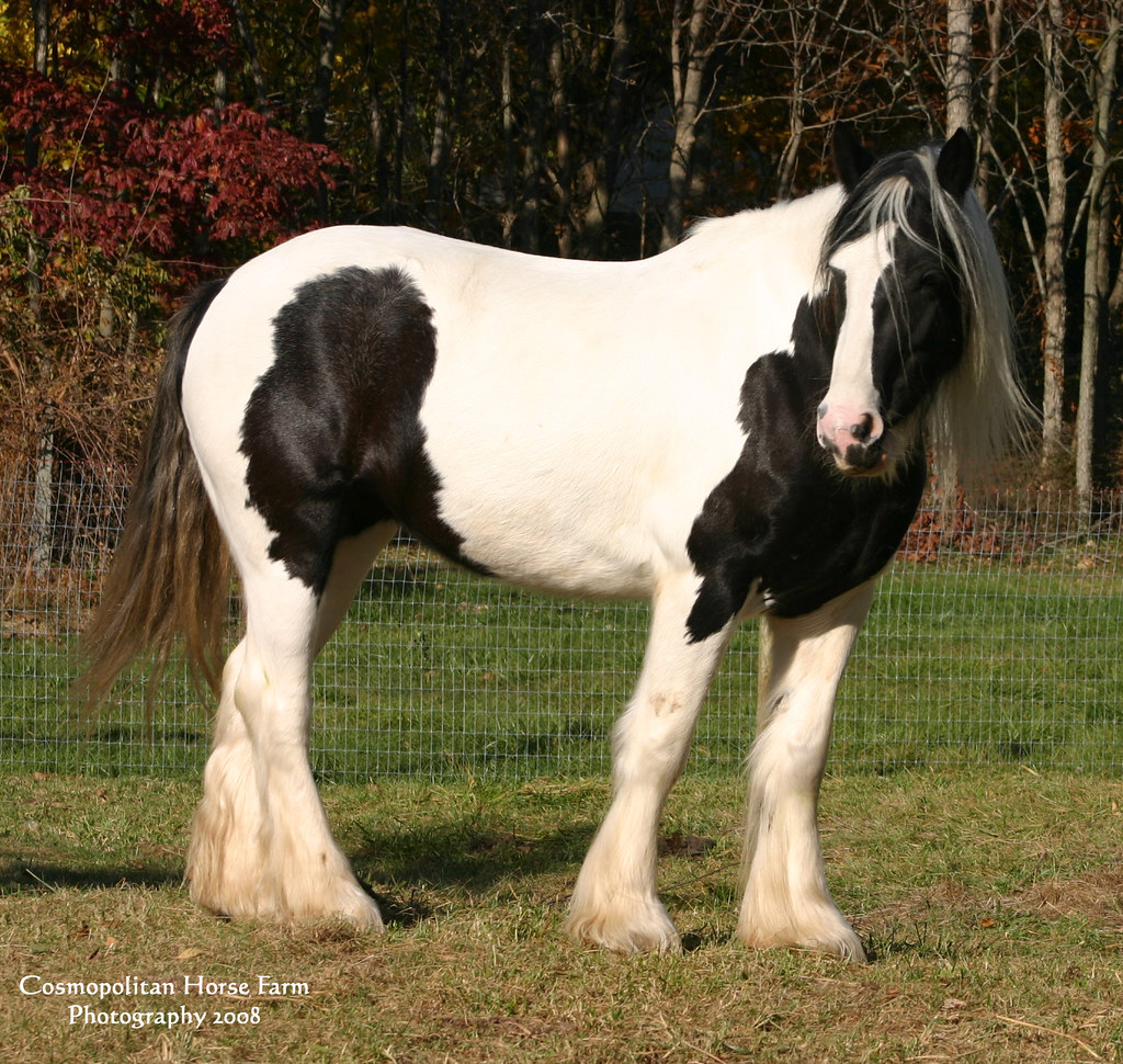 Kinnitty in Fall Kinnitty is Sale Pending to a wonderful n… Flickr